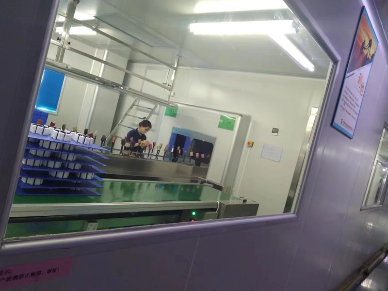 Dongguan JoonPang Plastic Mold Co., Ltd. 제조업체의 생산 라인